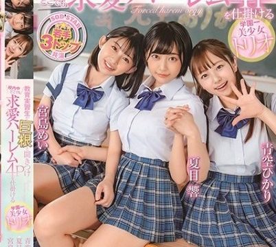 [STARS-308] คะนองหมีรุมสีครูฝึกสอน Hakari Aozora