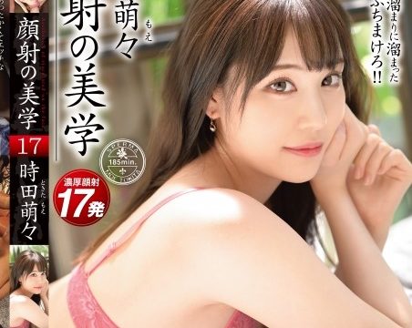 [ABW-154] เย็ดแตกใส่หน้าสาวสวย17ดอก Moe Tokita
