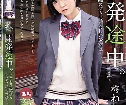 [MUDR-167] เห็นหนูร่าน ถ้าควยพี่เล็กหนูก็ไม่ให้เย็ดนะคะ Hiiragi Nene